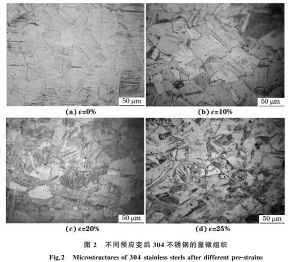 图2 不同预应变后304不锈钢的显微组织 图2 不同预应变后304不锈钢的显微组织