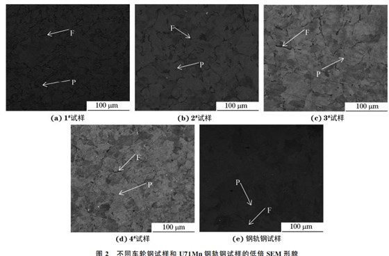 图2 不同车轮钢试样和 U71Mn钢轨钢试样的低倍SEM 形貌 图2 不同车轮钢试样和 U71Mn钢轨钢试样的低倍SEM 形貌