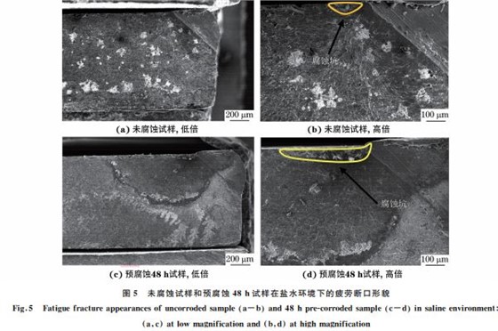 图5 未腐蚀试样和预腐蚀48h试样在盐水环境下的疲劳断口形貌 图5 未腐蚀试样和预腐蚀48h试样在盐水环境下的疲劳断口形貌