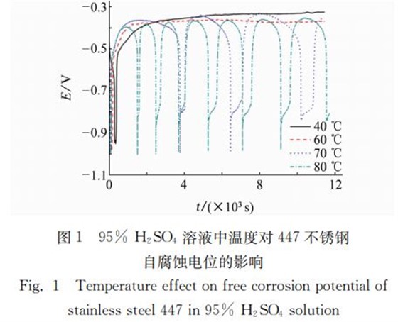 图１ ９５％ Ｈ２ＳＯ４ 溶液中温度对４４７不锈钢