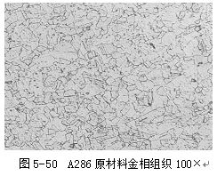 图5-50 A286原材料金相组织100×