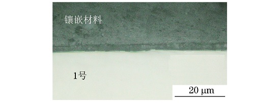 图１ １号试样表面氧化层形貌