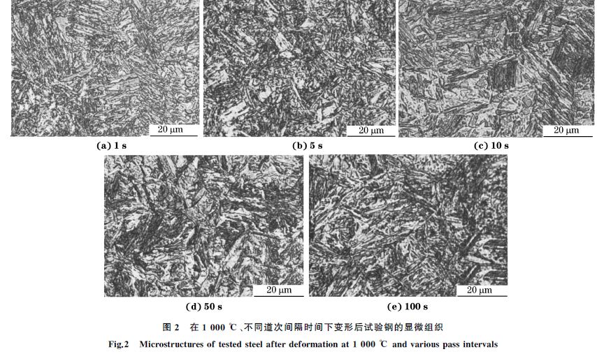 图２ 在１０００ ℃、不同道次间隔时间下变形后试验钢的显微组织