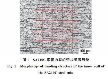 图1 SA210C钢管内壁的带状组织形貌 图1 SA210C钢管内壁的带状组织形貌