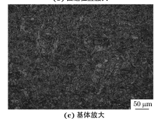企业微信截图_20230928131226